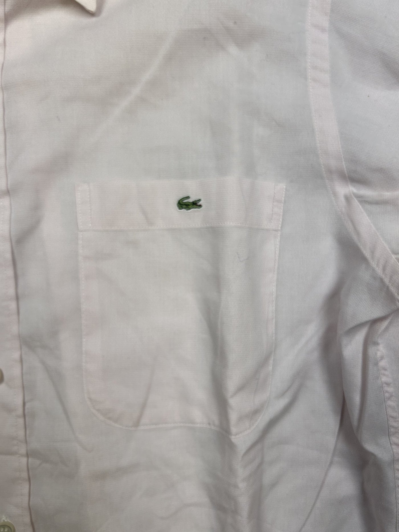 Camicia Lacoste Rosa XL